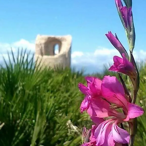 Casa Vacanze Chiara Terrasini 0*,